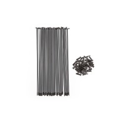 RAYONS BSD BUTTED 186 MM NOIR